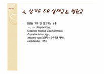 [임상화학] Throat culture(인후 배양)-6