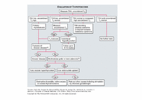 [의학과][내분비내과] Graves` Disease-17