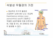 [의학과] 무월경과 유방통-4