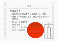 [임상화학] Urine culture-5
