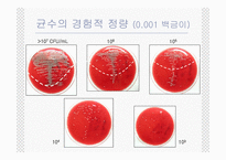 [임상화학] Urine culture-8