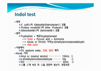[임상화학] IMViC 반응과 동정기초실험-2