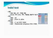 [임상화학] IMViC 반응과 동정기초실험-3