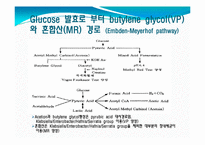 [임상화학] IMViC 반응과 동정기초실험-5