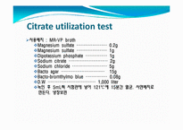 [임상화학] IMViC 반응과 동정기초실험-12