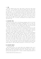 [직업교육] 진로교육에 대한 기독교교육적 접근-3