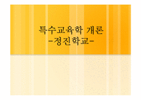 [특수교육학개론] 정진학교-1