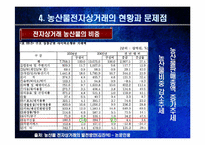 농산물 전자상거래의 문제와 과제-13