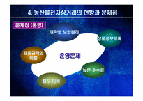 농산물 전자상거래의 문제와 과제-18