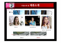 [광고론] 캐논 익서스 광고기획서-11