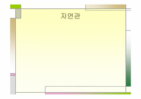 심리적 개발(발달)주의 교육-9