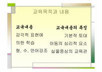 심리적 개발(발달)주의 교육-12