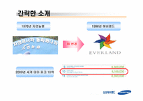 에버랜드(EVERLAND) 마케팅SWOT,STP,4P전략분석 파워포인트-4