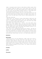 [마케팅전략] KFC, 맥도날드 경쟁우위 전략-9