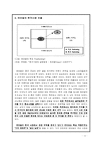 [글로벌 경영전략] 하이얼(Haier)의 한국 가전시장공략-13