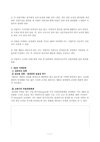 다국적기업 3M의 분석-4