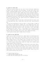 아모레 퍼시픽의 `설화수`의 글로벌화-10
