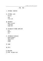 싸이월드 마케팅 성공사례 분석-2