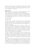 [국제마케팅] 현대자동차 글로벌 마케팅 전략제안-14