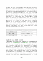 [국제경영] 아모레퍼시픽 프랑스 전략-9