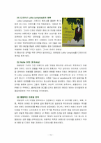 [국제경영] 아모레퍼시픽 프랑스 전략-16