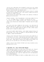 [국제경영] 맥도날드 글로벌 경영전략-17