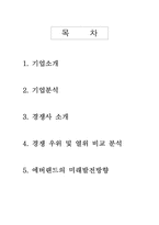 [전략경영] 삼성에버랜드 경영전략-2