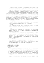 [전략경영] 삼성에버랜드 경영전략-18