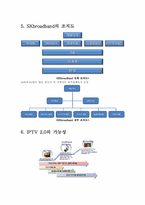 [경영학] IPTV SK브로드밴드 분석-11