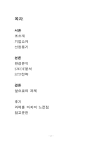 [마케팅] 오설록 틈새시장과 포지셔닝-2