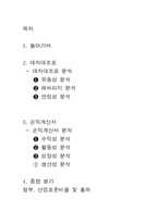 롯데칠성음료 경영분석-2