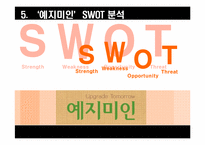 예지미인 경영전략-15