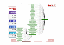 [국제경영] 오라클 성공요인-12