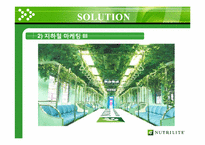 [마케팅관리] NUTRILITE 뉴트리라이트-13