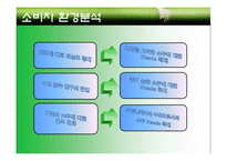 국내 소주시장 분석 및 진로 `참이슬` 마케팅전략 분석-17