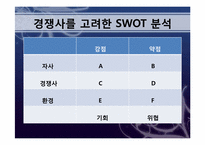 스왓분석 레포트-10