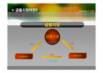 금융시장 성공사례와 실패사례-5