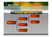 금융시장 성공사례와 실패사례-10