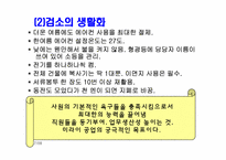 미라이 공업 경영전략-16