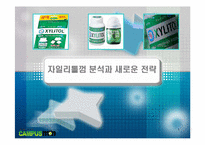 [마케팅전략론] 자일리톨껌 분석과 새로운 전략-1