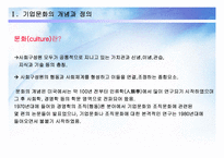 기업문화의 유형과 사례-3