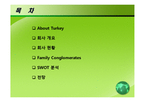 [국제경영] 사반치 홀딩스(Sabanci Holdings) 기업사례-2