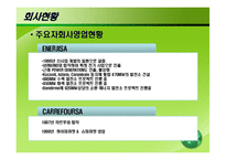 [국제경영] 사반치 홀딩스(Sabanci Holdings) 기업사례-18