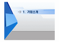 대우에너텍 국제 경영 전략-3