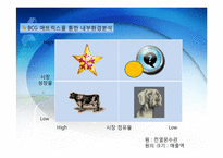 대우에너텍 국제 경영 전략-5