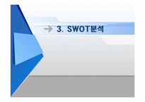 대우에너텍 국제 경영 전략-10