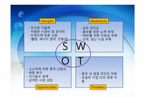 대우에너텍 국제 경영 전략-11