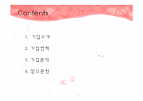 바이오스킨테크(BIOSKINTECH) 기업분석-2
