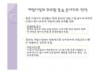 [국제 경영] 온네트의 해외 진출 전략-6