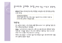[국제 경영] 온네트의 해외 진출 전략-9